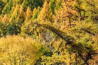 AISS爱丝(黄金版) – 最新套图：索菲的滑板梦，挑战极限，姿态随性！